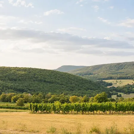 Apartman Le Souffle De La Prairie - Et Nature - *
